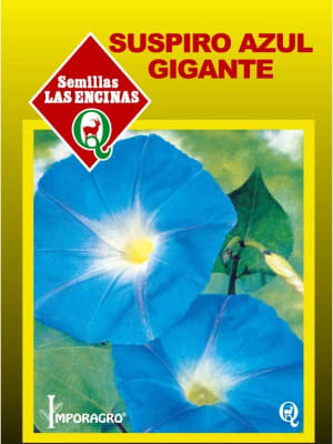 Ipomea Suspiro Azul