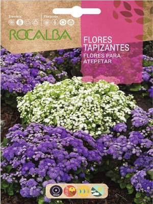 Mezcla de Flores Tapizantes