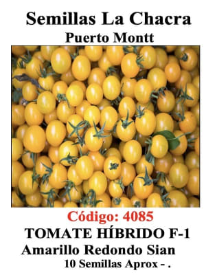 Tomate Cherry Amarillo Redondo