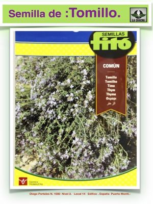 TOMILLO COMUN ( Fito )