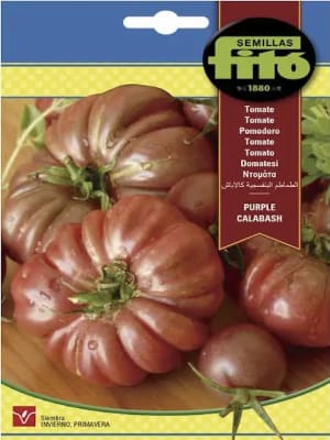 Tomate Purple Calabash