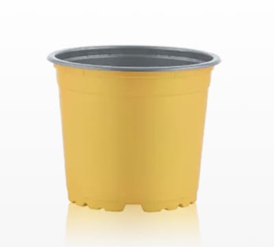 Maceteros Pequeños Termoformado Color: Amarillo VCG-13