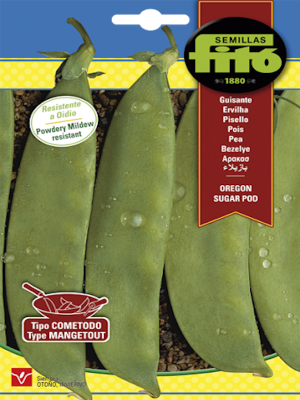 GUISANTE OREGON ( Sinhila)