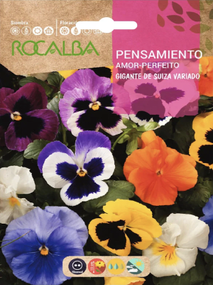 PENSAMIENTO Gigante de Suiza Colores Variados.
