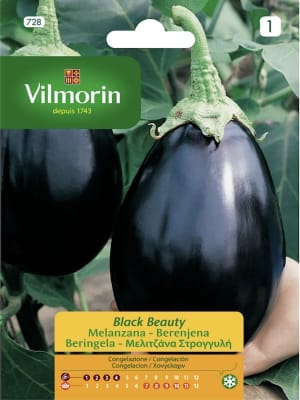 BERENGENA BLACK BEAUTY