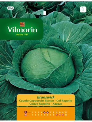 Repollo Brunswick. Sobre 6 Gramos