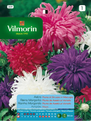 Reina Luisa Pluma de Avestruz, Colores Variados