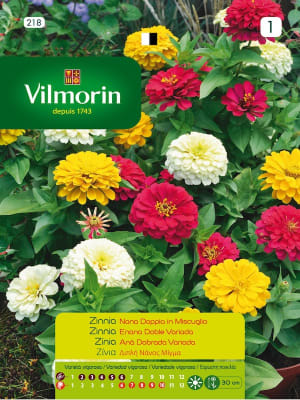 ZINNIA ENANA DOBLE VARIADA