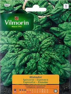 ESPINACA MATADOR 15 GRAMOS