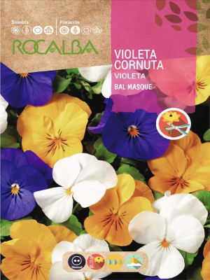 Violeta Cornuta. Colores Variados