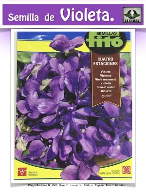 VIOLETA CUATRO ESTACIONES