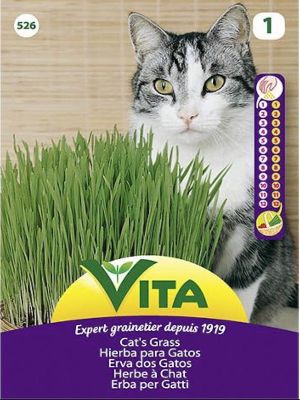 HIERBA PARA GATOS 10 GRAMOS