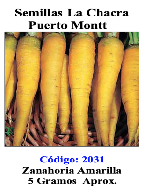 Zanahoria Amarilla.  Gourmet