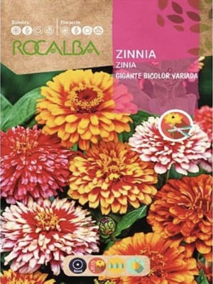 ZINNIA Gigante Bicolor, Variada