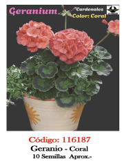 GERANIO Color Coral 0