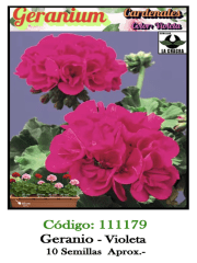 GERANIO. Color Violeta 0