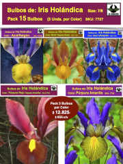 Pack 15 Bulbos de Iris Holándica  5 Colores con 3 Bulbos por Color 0