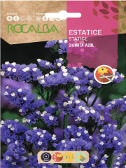ESTATICE Rocalba Sinuata Color: Azul 0