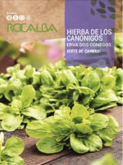 Hierba de Los Canónigos. Semillas 0