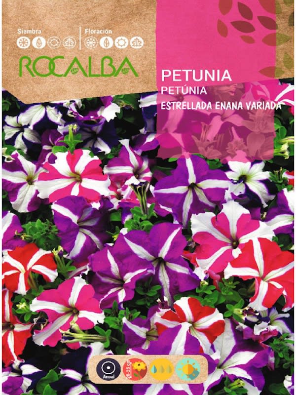 PETUNIA Estrellada Enana Variada1