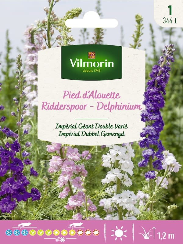 ESPUELA DE CABALLERO, Delphinium  VARIADA1