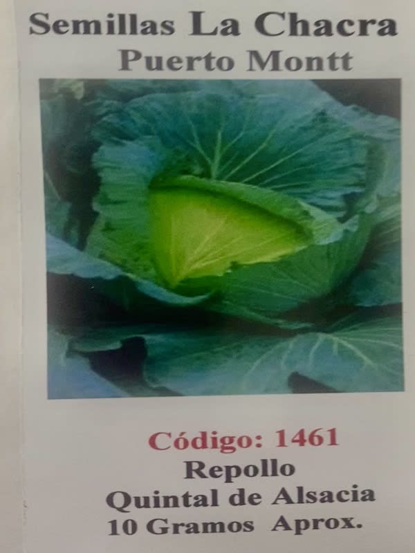 Repollo Quintal 10 Gramos1