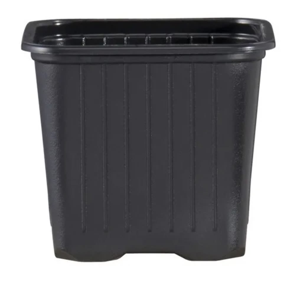 Pote Cuadrado Negro VQF 11x11x11,51