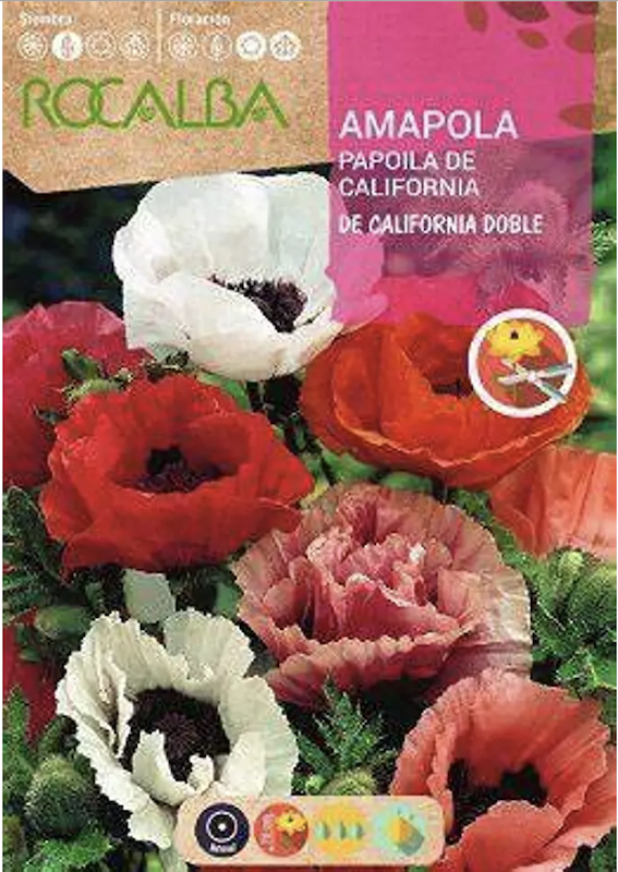 AMAPOLA  DE CALIFORNIA Doble Variado1