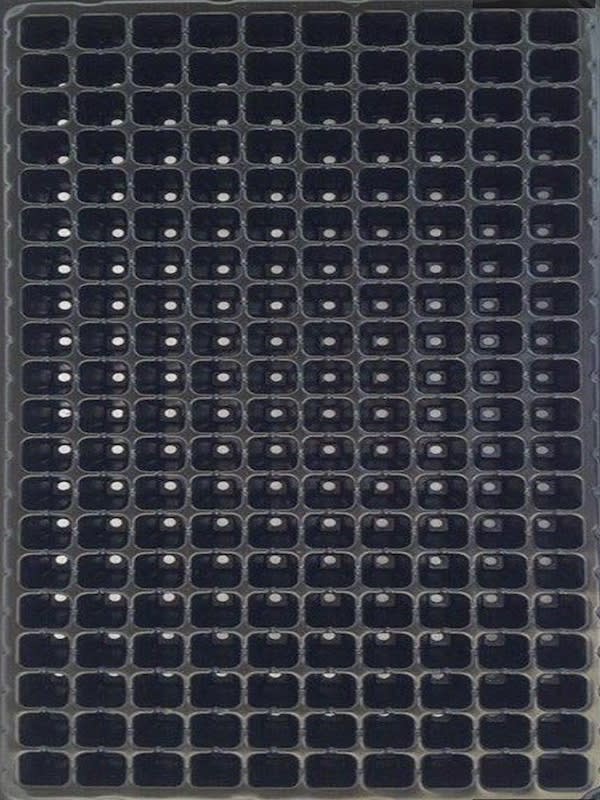 Almaciguera Bandeja 200 CV1