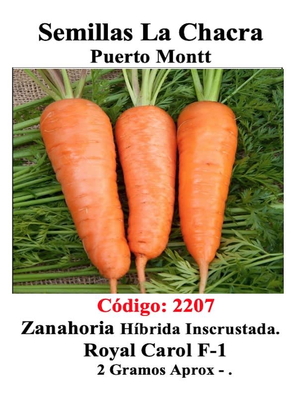 Zanahoria Híbrida Royal Carol F-11