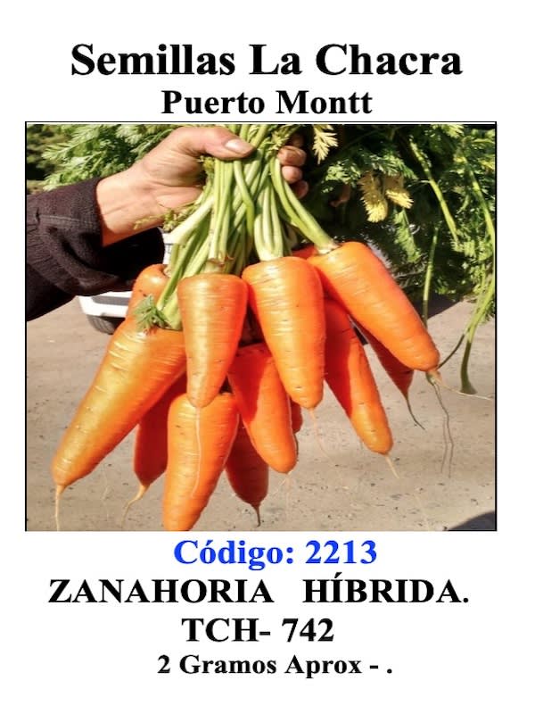Zanahoria Híbrida TCH- 7421