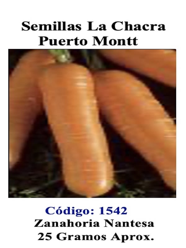 Zanahoria Nantesa Totem 25 Gramos1