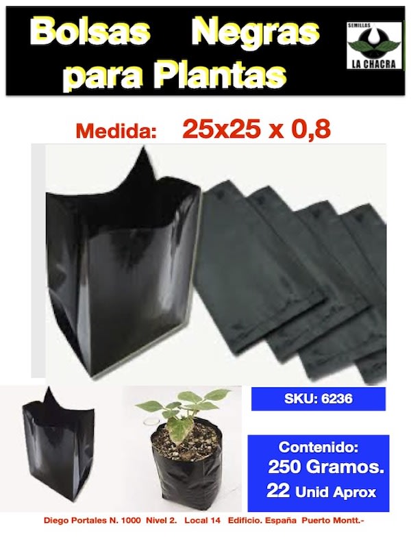 BOLSA NEGRA CON FUELLE 25X25X0,8 250 Gramos1