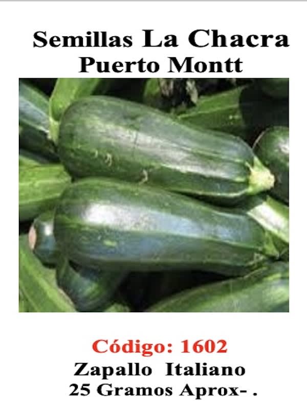 Zapallito Italiano Zuchinni. 25 Gramos1