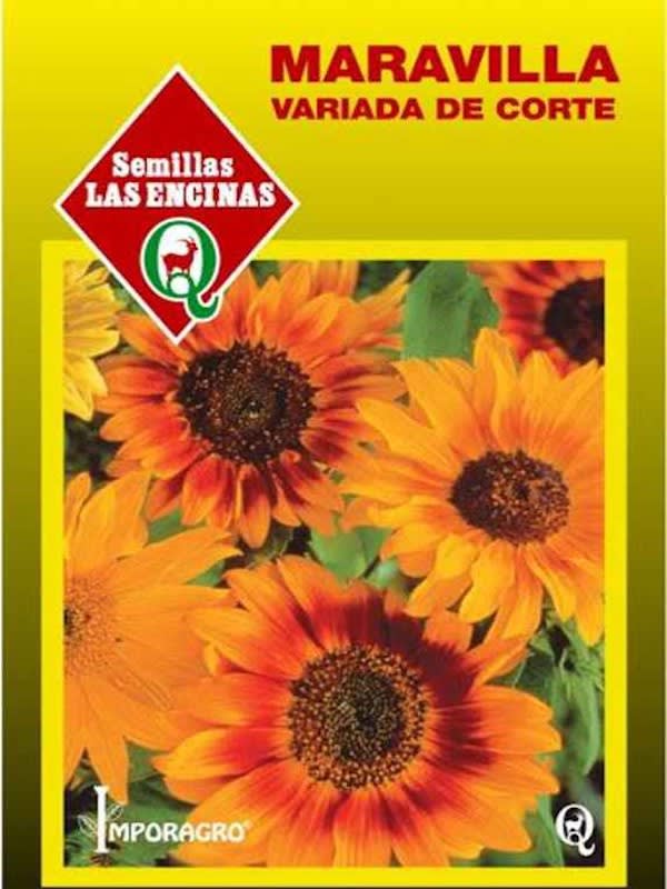 Girasol, Maravilla Variada de Corte1