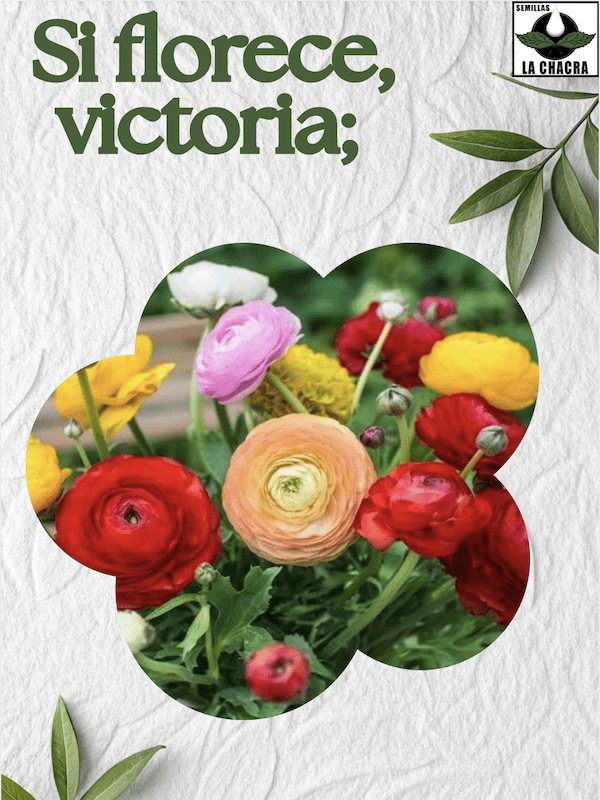 Sustrato Especial Bulbos & Plantas.  Envase 6 Litros.2