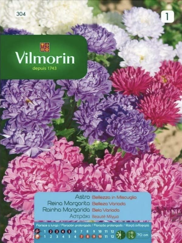 REINA MARGARITA.  ALTA.  COLORES VARIADOS (304-351)1