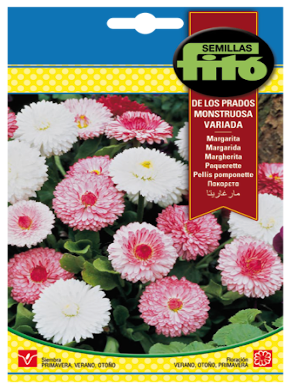 MARGARITA. DE LOS PRADOS MONSTRUOSA VARIADA1