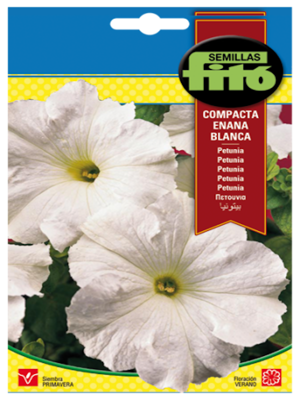 PETUNIA COMPACTA ENANA BLANCA1