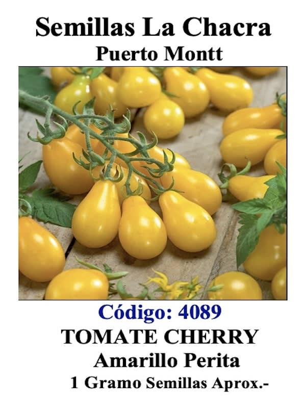 Tomate Cherry Amarillo Perita1