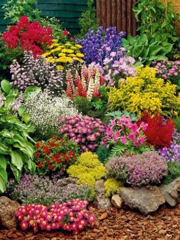 Mezcla de Flores Tapizantes2