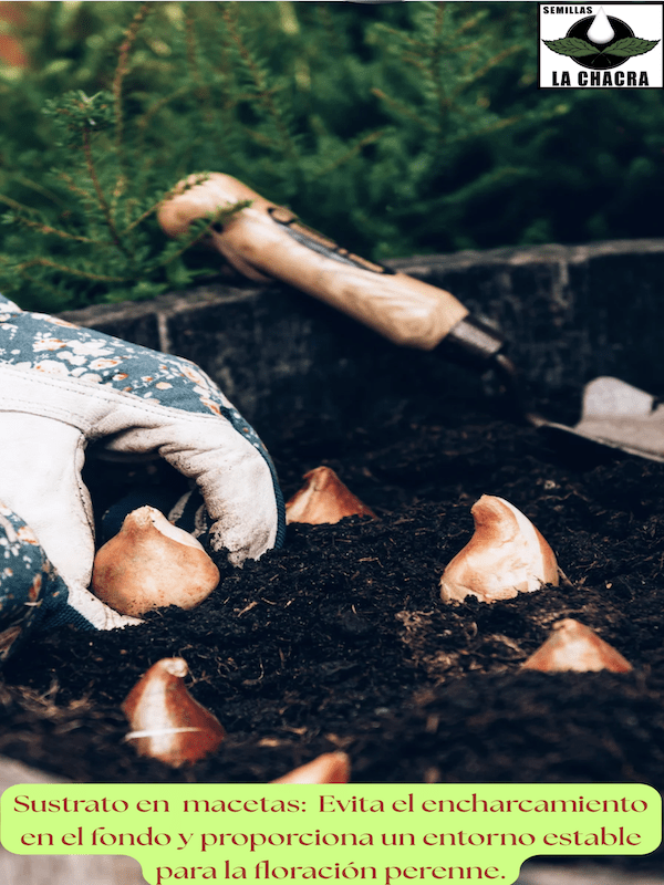 Sustrato Especial Bulbos & Plantas.  Envase 9 Litros.2