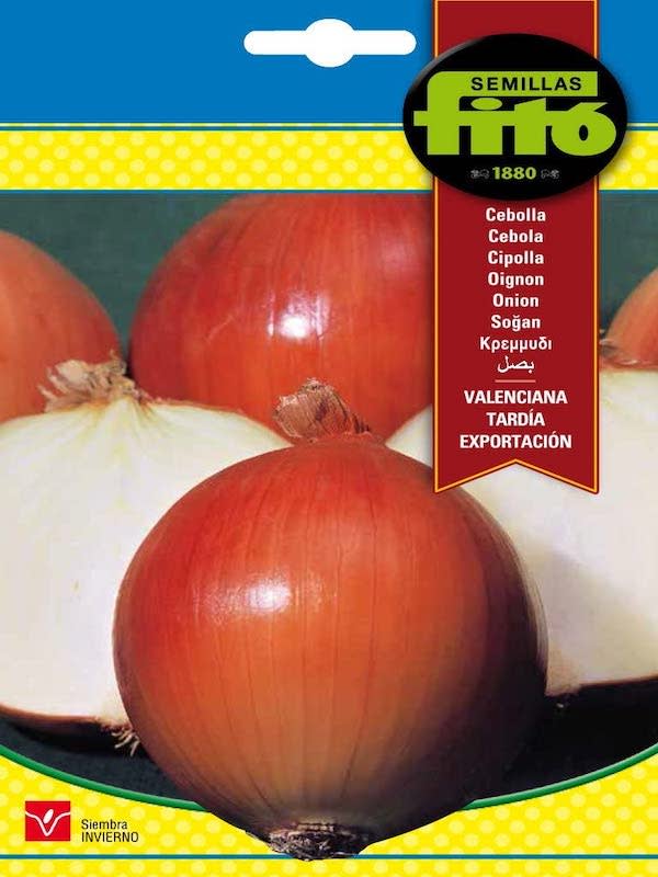 CEBOLLA VALENCIANA TARDIA EXPORTACION1