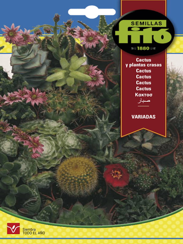 CACTUS Y PLANTAS CRASAS. VARIADAS1