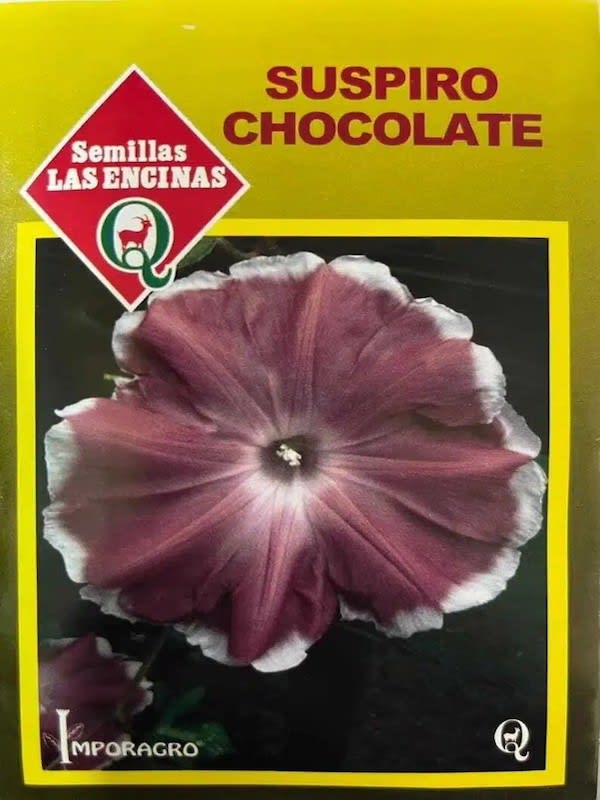 Ipomea Suspiro Chocolate1