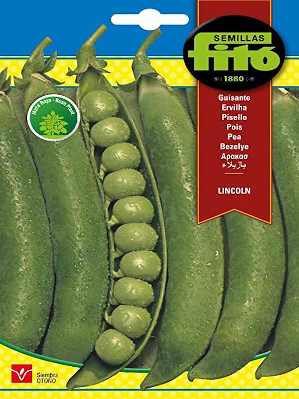 GUISANTE LINCOLN Arveja Mata Baja1