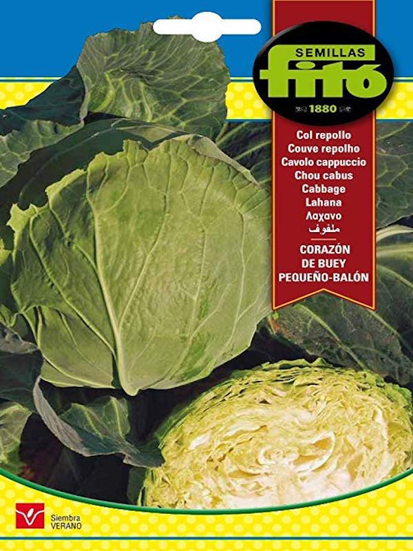 COL REPOLLO CORAZON DE BUEY GRANDE BALON1