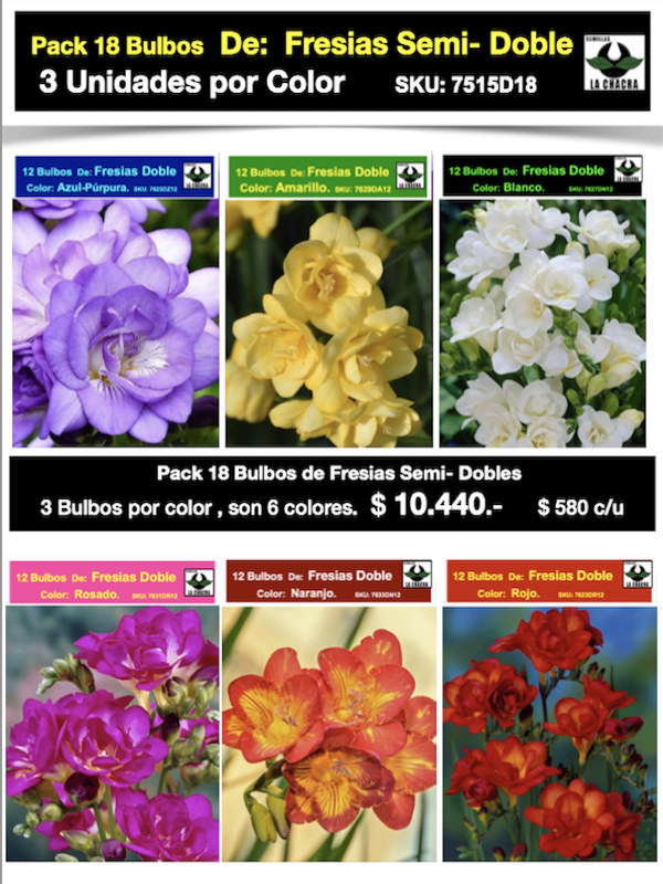 Pack 18 Bulbos Fresias Semi-Dobles. ( 6 Colores Disponibles)  Size: 5+1