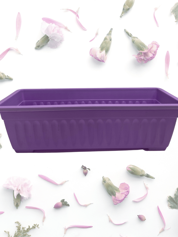 Jardinera Estriada Rectangular Violeta  43,5 x19 CM1
