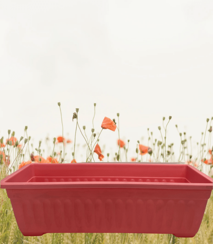 Jardineras.Estriada Rectangular.  Rosado. 49,5x21 CM1